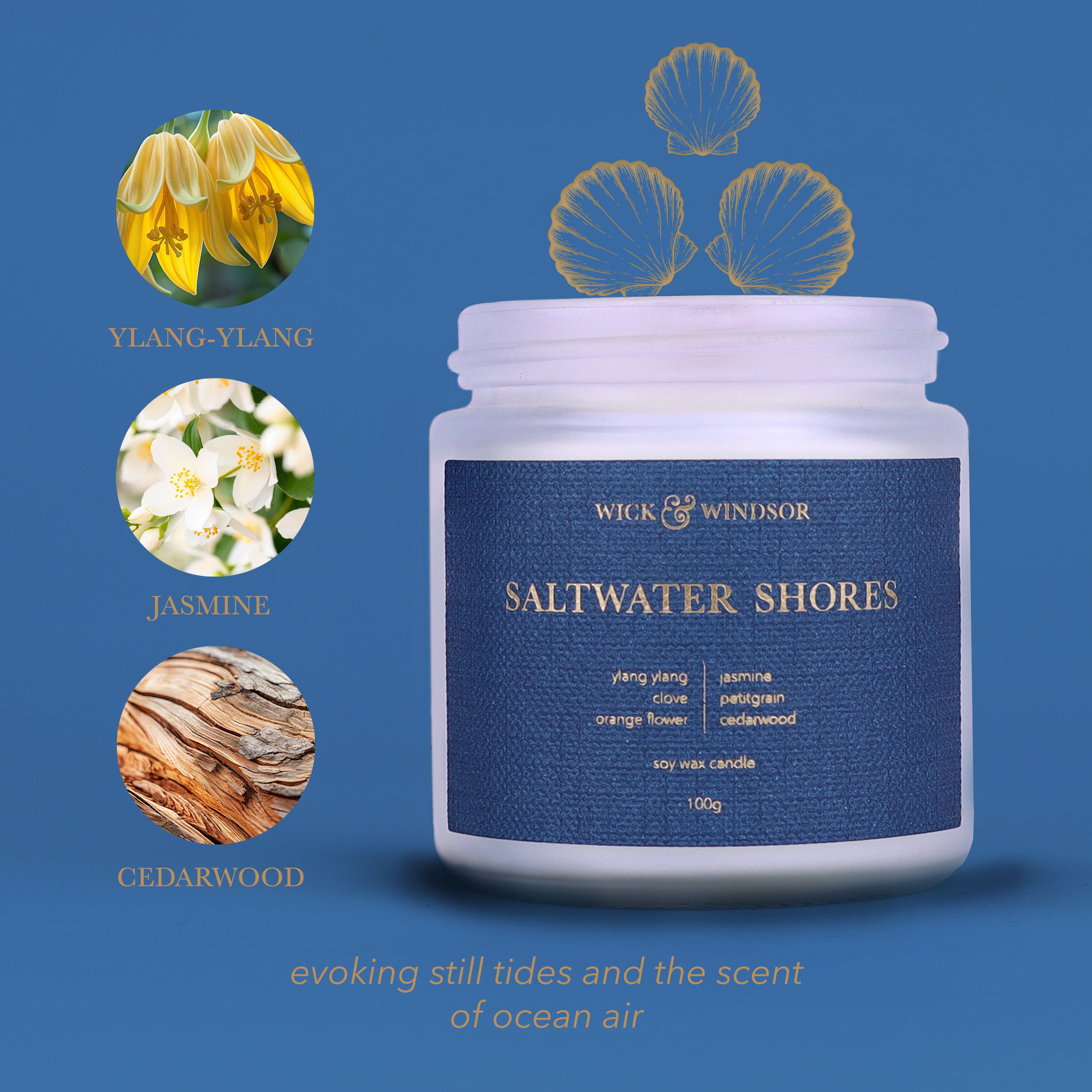 Coastal Collection - Seashore Fragrances